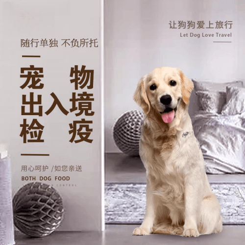 盐城市宠物托运到哥伦比亚猫狗宠物入境规定和