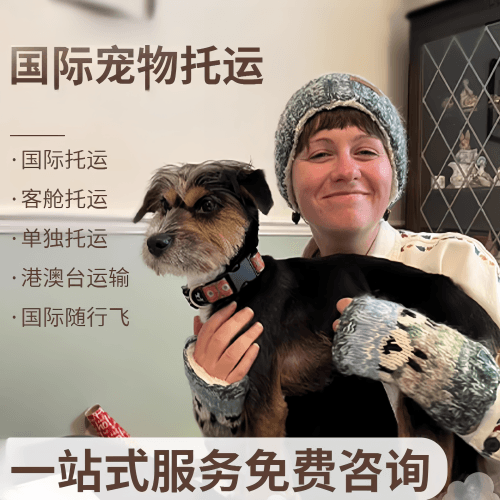 盐城市国际宠物托运到阿根廷宠物入境规定和要