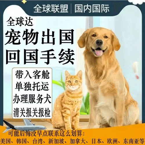 盐城市宠物托运到柬埔寨宠物入境规定和要求