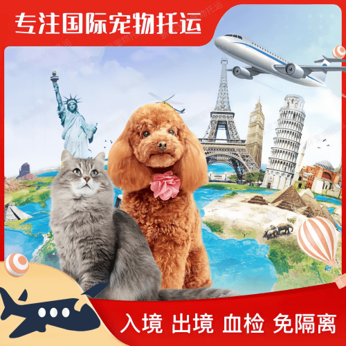 盐城市宠物托运到美国宠物入境最新规定和要求