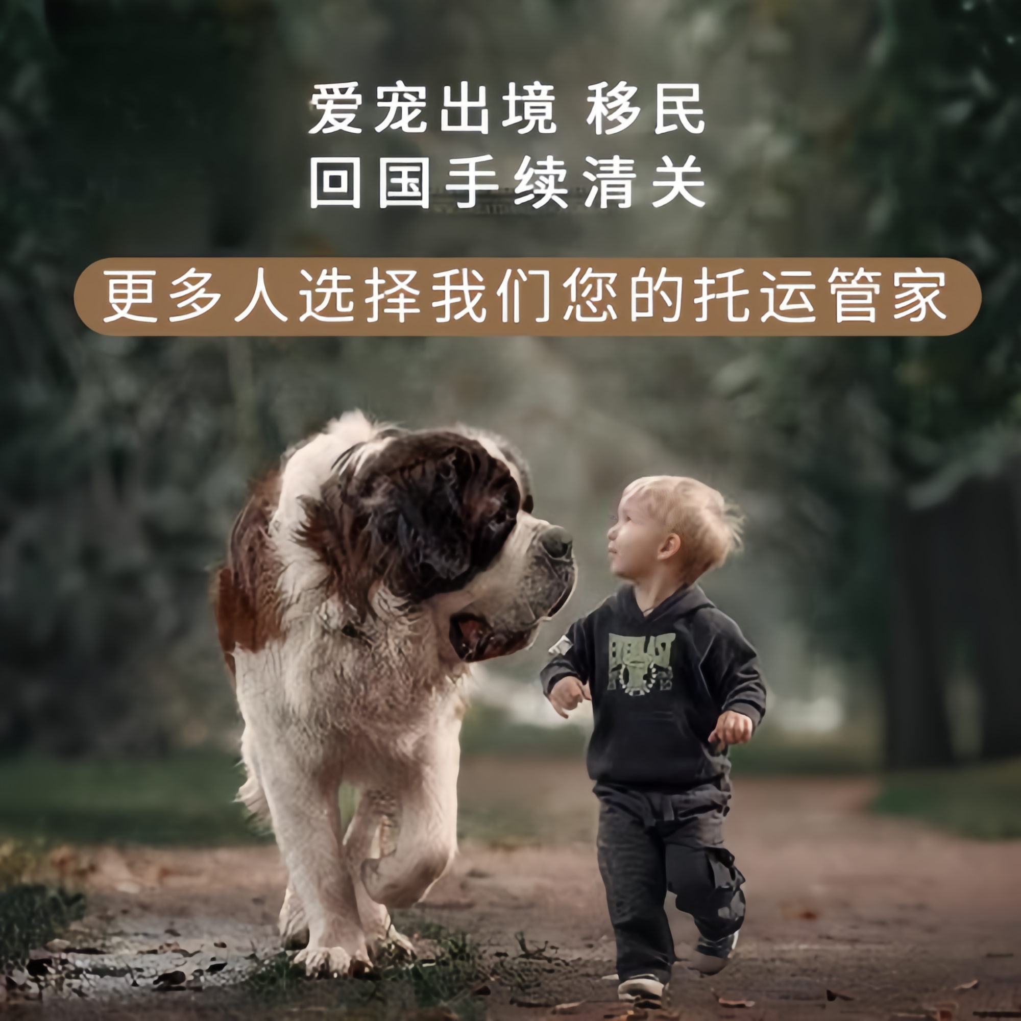 满财盐城市宠物全球达宠物托运在遵守入境目的地政策的条件